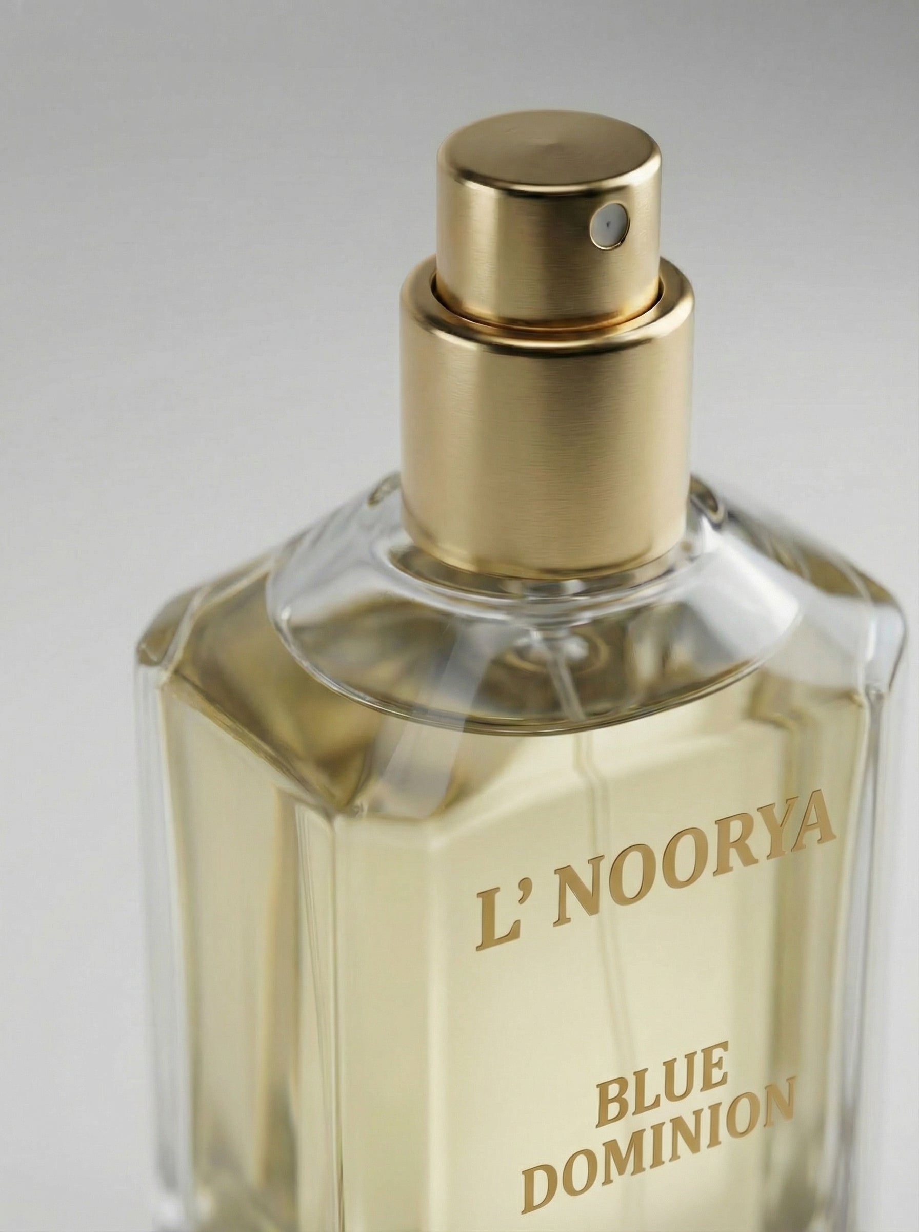 BLUE DOMINION Perfume
